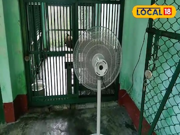 ফ্যানের