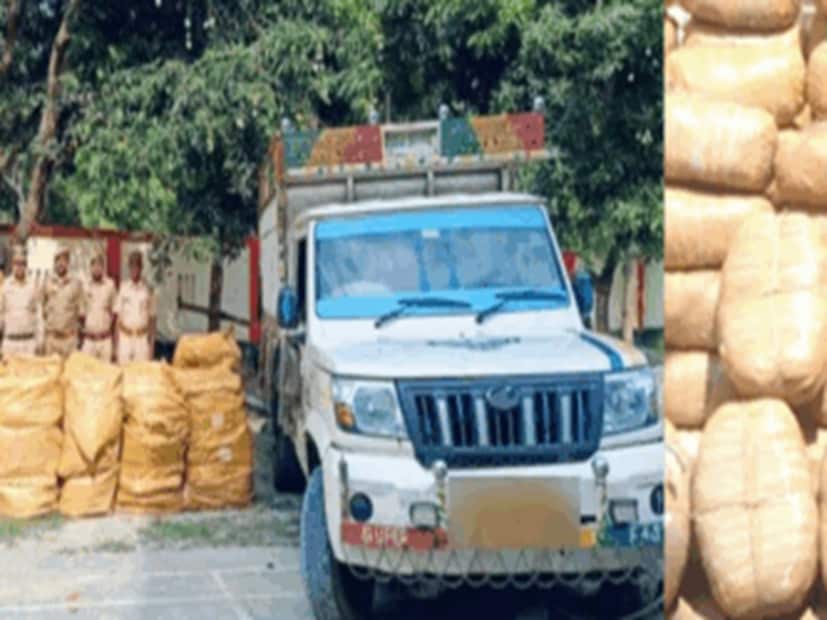 প্রাথমিক তদন্তে জানা গিয়েছে, এই সেক্স টয় দেশের বিভিন্ন অংশে পাঠানো হচ্ছিল। পুলিশ গৌরিফন্টা বর্ডারে সুডা ঘাটে একটি পিকআপ ভ্যান আটকায়। তদন্তে দেখা যায় এর ভিতরে ৭২টি হলুদ বস্তায় কাগজের বাক্স ছিল। পুলিশ এগুলো খুলে দেখে হতবাক হয়ে যায়। এর মধ্যে প্রায় ১০৮০০ চাইনিজ সেক্স টয় উদ্ধার হয়। এরপর পলাতক অভিযুক্ত বিজয় সিং রানা, যিনি সুডা গ্রামের বাসিন্দা, তার বাড়িতে পুলিশের দল পৌঁছায়।