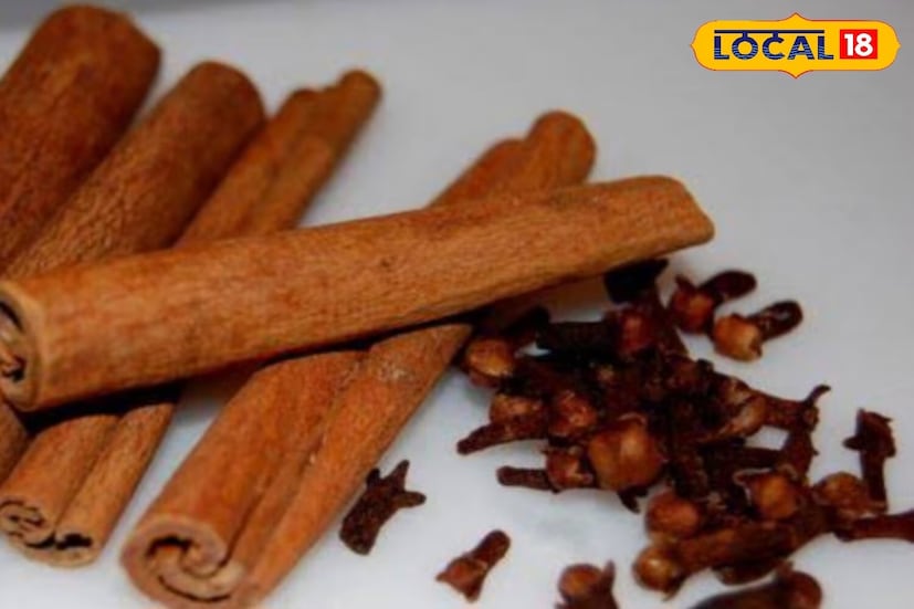লবঙ্গ এবং দারুচিনি, যা সাধারণত প্রতিটি রান্নাঘরে পাওয়া যায়, সাপকে দূরে রাখতে অত্যন্ত কার্যকর হতে পারে। লবঙ্গ এবং দারুচিনির তেলের তীব্র গন্ধ সাপকে তাড়ায়। Photo- Representative