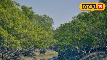 সুন্দরবন