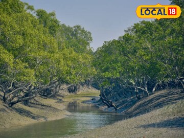 সুন্দরবন