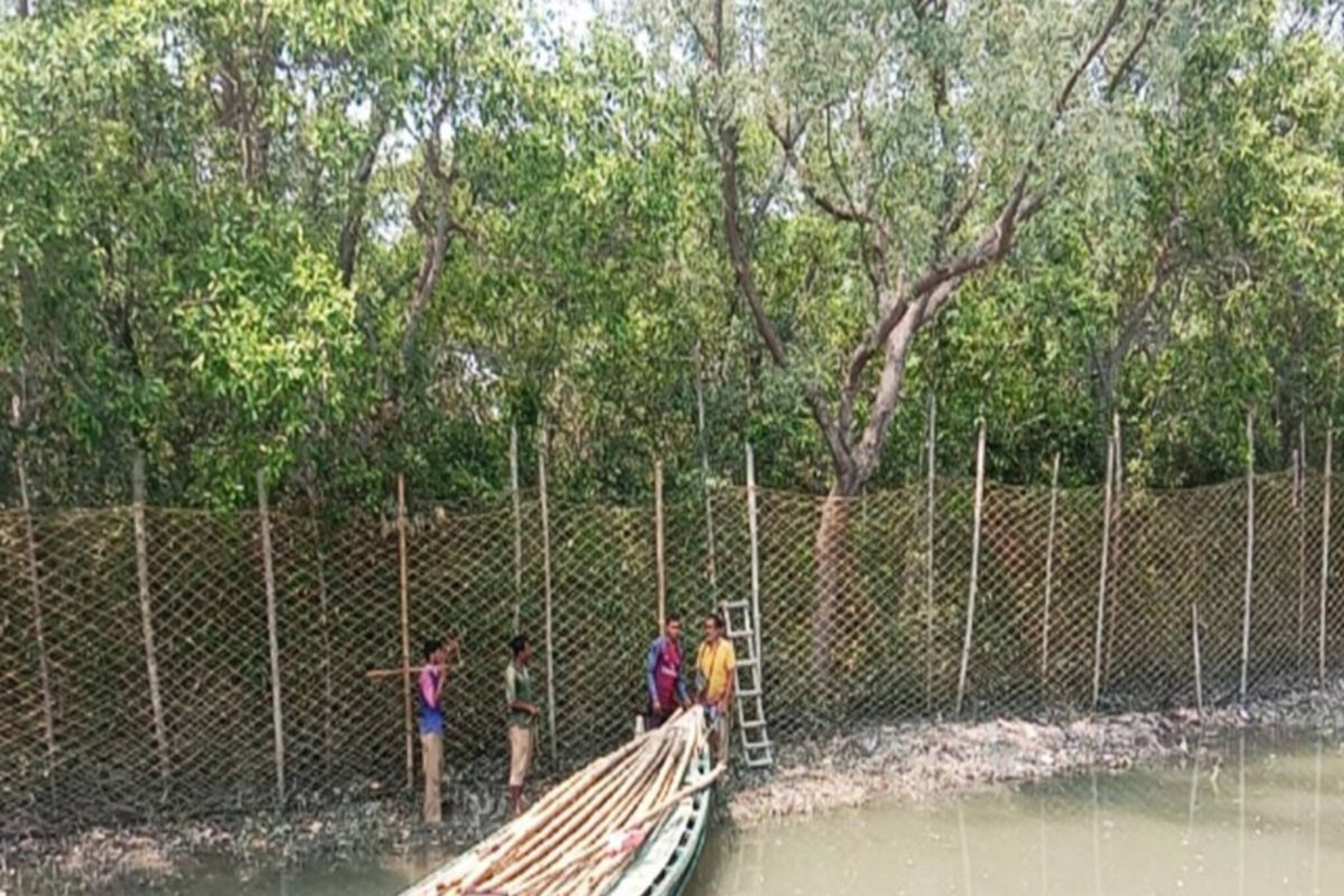 Watch Video:  প্রাণ হাতে নিয়ে জঙ্গলে যাওয়া রুখতে সুন্দরবনে নয়া পদক্ষেপ