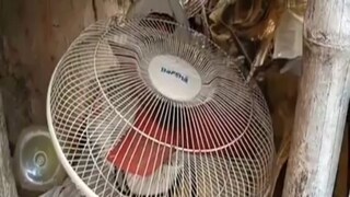 ফাইল ছবি ফাইল ছবি