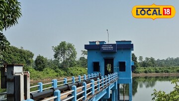 তারাফেনি