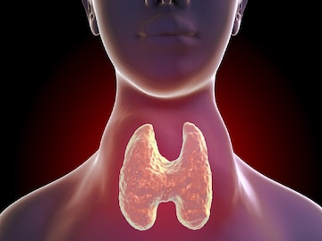 রোজ খেলেও জানতেন না নিয়ম! সস্তার এই ৫ খাবার হুড়মুড়িয়ে কমায় থাইরয়েড, রোজের ডায়েটে রাখুন রোজ খেলেও জানতেন না নিয়ম! সস্তার এই ৫ খাবার হুড়মুড়িয়ে কমায় থাইরয়েড, রোজের ডায়েটে রাখুন