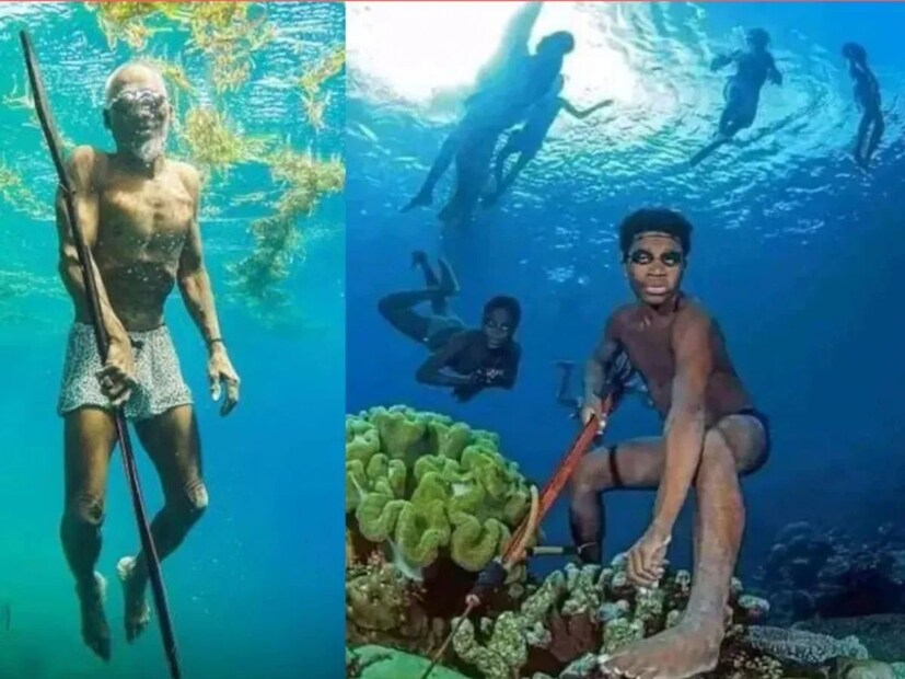 এই বিশ্বব্রহ্মাণ্ডের কতটুকুই বা আমরা জানি? আমরা শুধু আমাদের নিজেদের জীবনচর্যা আর আমাদের আশেপাশের জীব-জগৎ সম্পর্কে ততোটুকুই জানি যেটুকু আমরা স্বচক্ষে দেখতে পাই। কিন্তু তার বাইরেও রয়েছে এক বিপুল বিরাট পৃথিবী যা বিস্ময়ে আর চমকে পরিপূর্ণ! এমনই এক চমকপ্রদ তথ্য আজ শেয়ার করা যাক এই প্রতিবেদনে যা শুনলে আপনারও চোখ মাথায় উঠতে বাধ্য! 