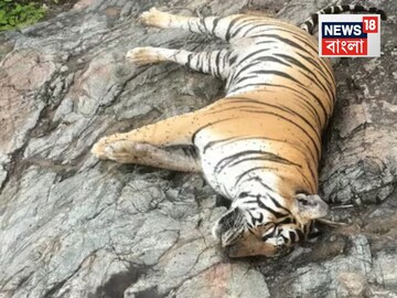 News18