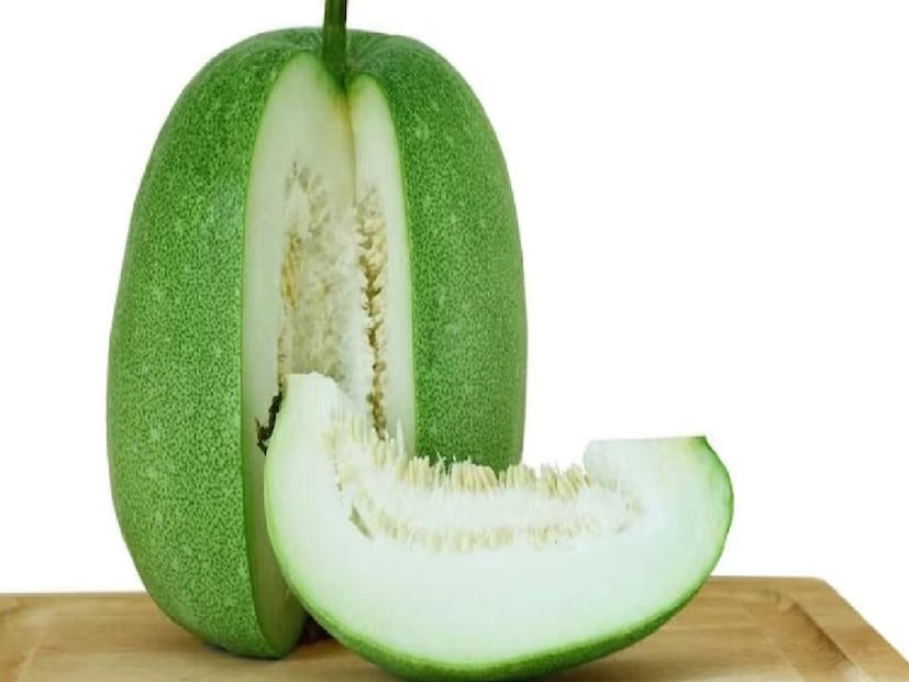 Ash Gourd Chal Kumro Health Benefits: বেশিরভাগই চেনে না-তাই কেনেও না! কুমরো নয়, চাল কুমড়ো খান? এর উপকারিতা জানলে রোজ খাবেন