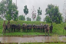 ভারত-বাংলাদেশ সীমান্তে এ কী করল বিএসএফ! এত বড় অভিযান! কী মিলল জানেন, চক্ষু চড়কগাছ সকলের