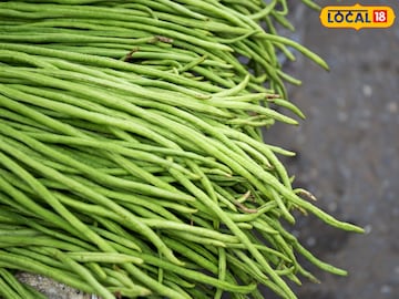 ক্যালসিয়াম, আয়রনের খনি বর্ষার 'এই' সবুজ লম্বা সবজি! রোজই পাতে রাখুন, মহিলাদের জন্য উপকারী ক্যালসিয়াম, আয়রনের খনি বর্ষার 'এই' সবুজ লম্বা সবজি! রোজই পাতে রাখুন, মহিলাদের জন্য উপকারী