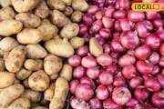 বর্ষায় পচে যাচ্ছে আলু-পেঁয়াজ! অপচয় এড়াতে 'এভাবে' সংরক্ষণ করুন, ৬ মাস পর্যন্ত থাকবে তাজা