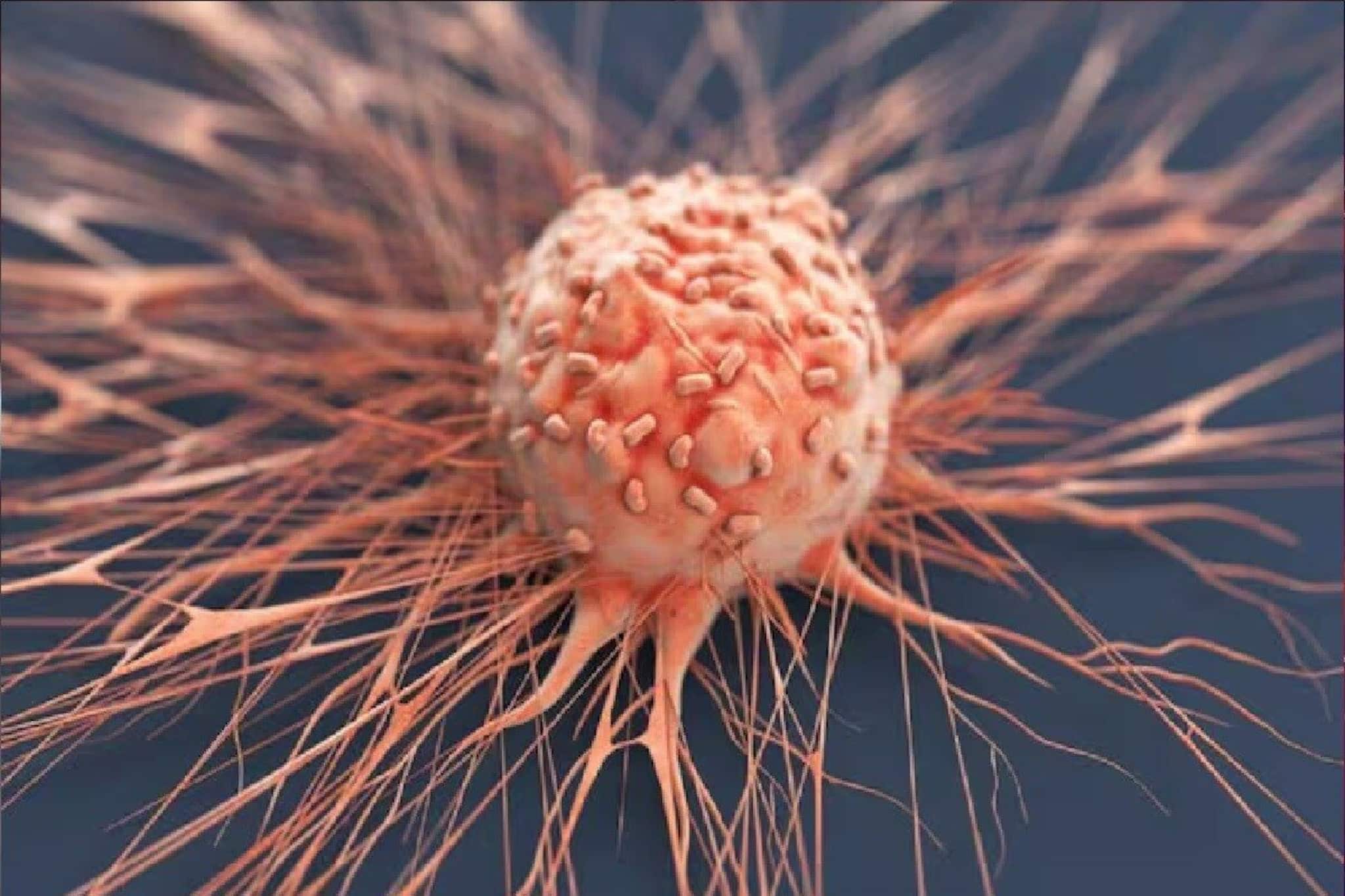 পুরুষরা সাবধান, দ্রুত হারে বাড়ছে অণ্ডকোষের ক্যানসার, কোন ৫ উপসর্গ একেবারেই অবহেলা নয়?