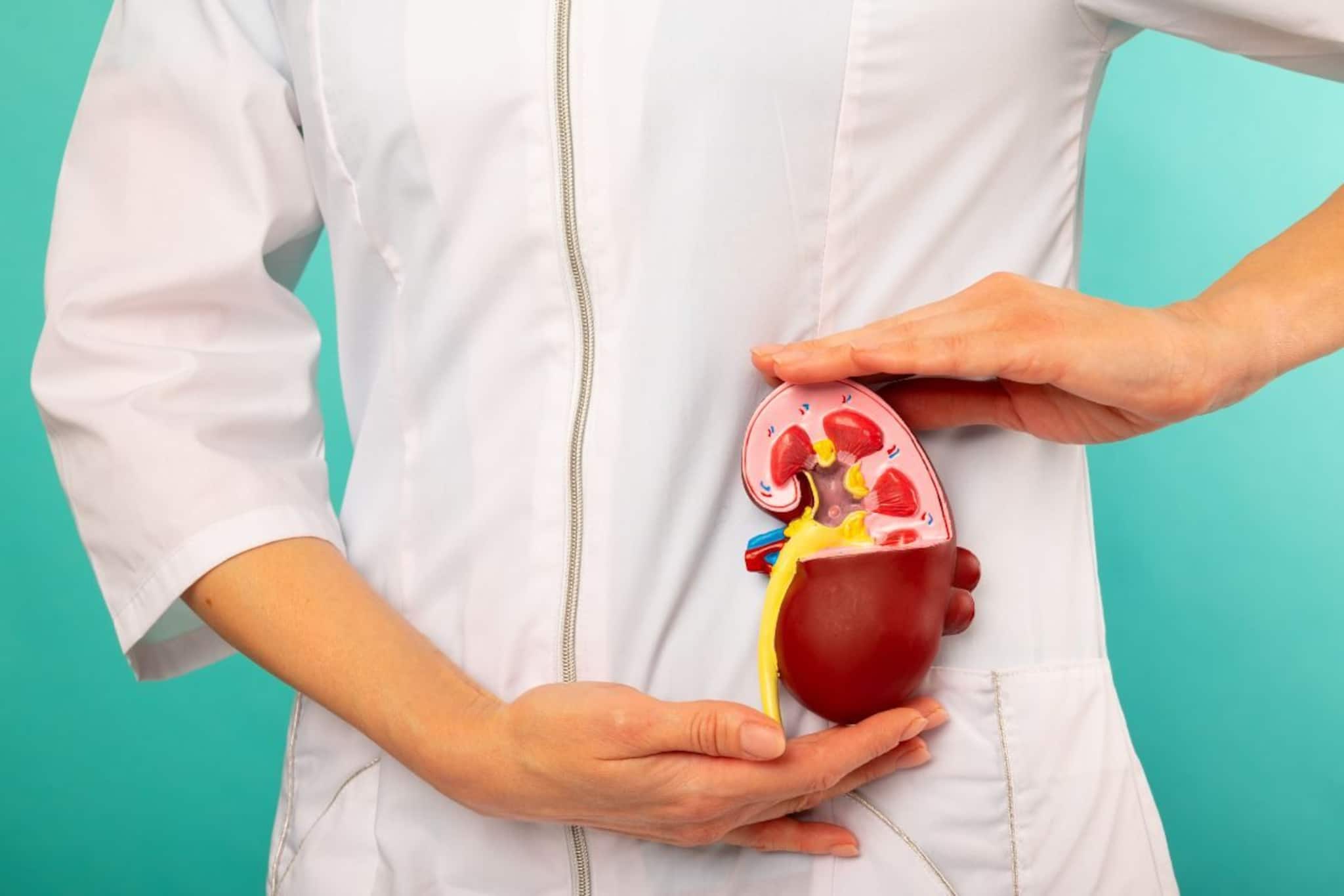 বেশি প্রোটিনেই সর্বনাশ! দেশে হুরহুর করে বাড়ছে কিডনি রোগের সংখ্যা! অবহেলায় বিপদ...