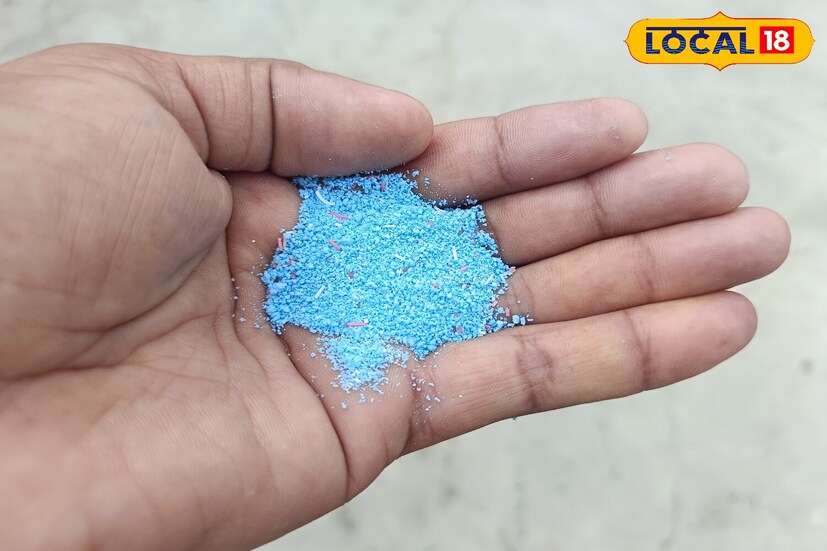 বাড়িতে রাখা এক চামচ ওয়াশিং পাউডার ১ লিটার জলে মিশিয়ে ভাল করে মিশিয়ে বোতলে ভরে নিন। প্রস্তুত দ্রবণটি জবা গাছের উপর স্প্রে করুন। দ্রবণটি স্প্রে করার সময় খেয়াল রাখবেন যাতে এটি টব বা গাছের গোড়ার মাটিতে না মিশে যায়৷ পিএইচ বৃদ্ধি মাটির গুণমানের উপর খারাপ প্রভাব ফেলবে।