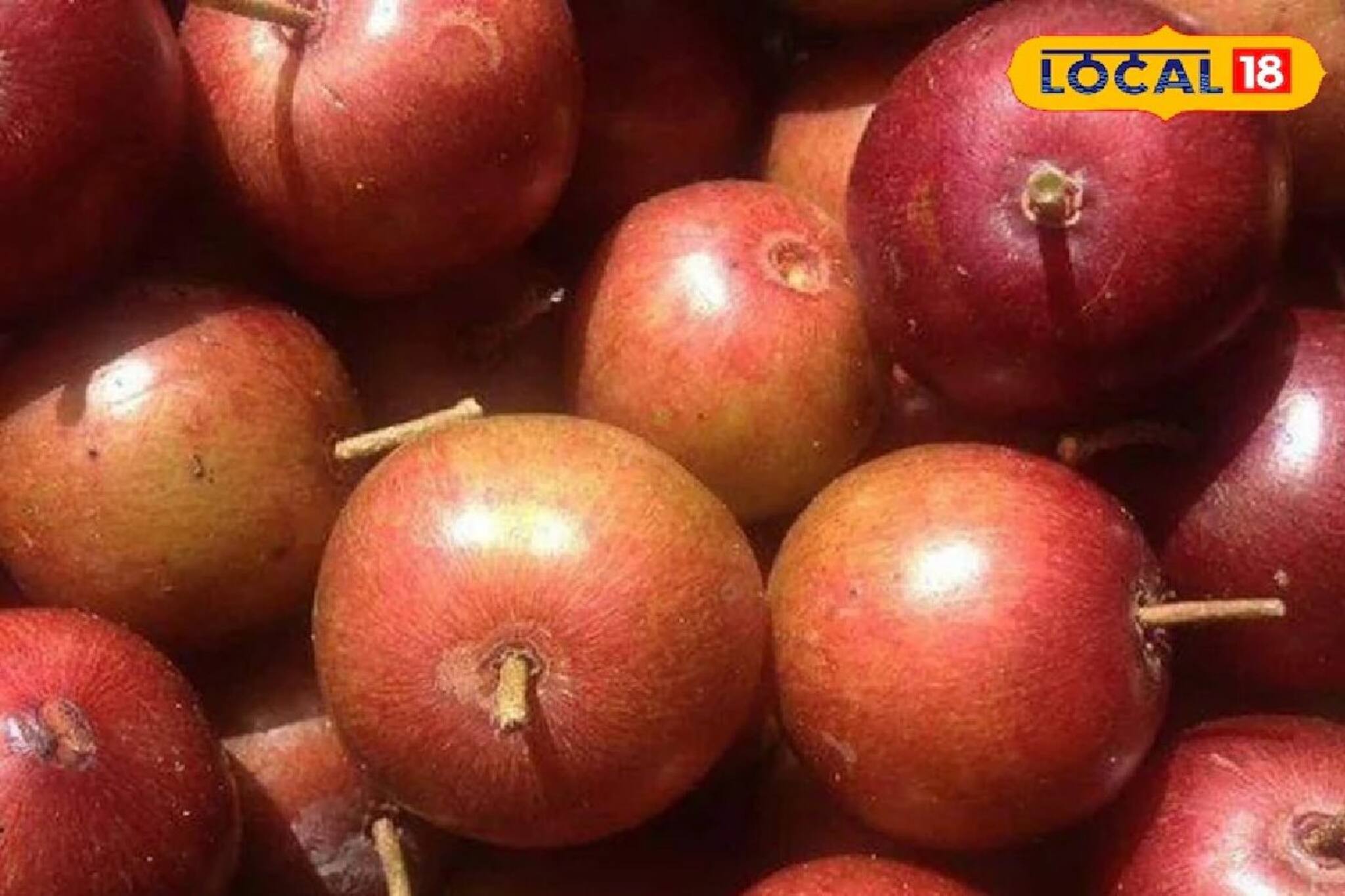 বছরের কয়েকটা দিন পাওয়া যায়, ফল-পাতা-শেকড় ব্যথা তাড়ানোর 'পেইনকিলার'! সংগ্রহ করে রাখুন আজই