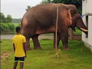 সারাদিন ঘোরাঘুরি রামলালের 