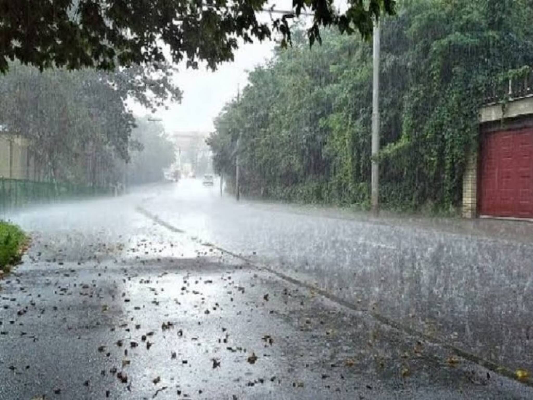 ‘একা রামে রক্ষে নেই সুগ্রীব দোসর’- নিম্নচাপের ল্যাজ ধরে ফের তৈরি হচ্ছে নতুন নিম্নচাপ,আপডেট