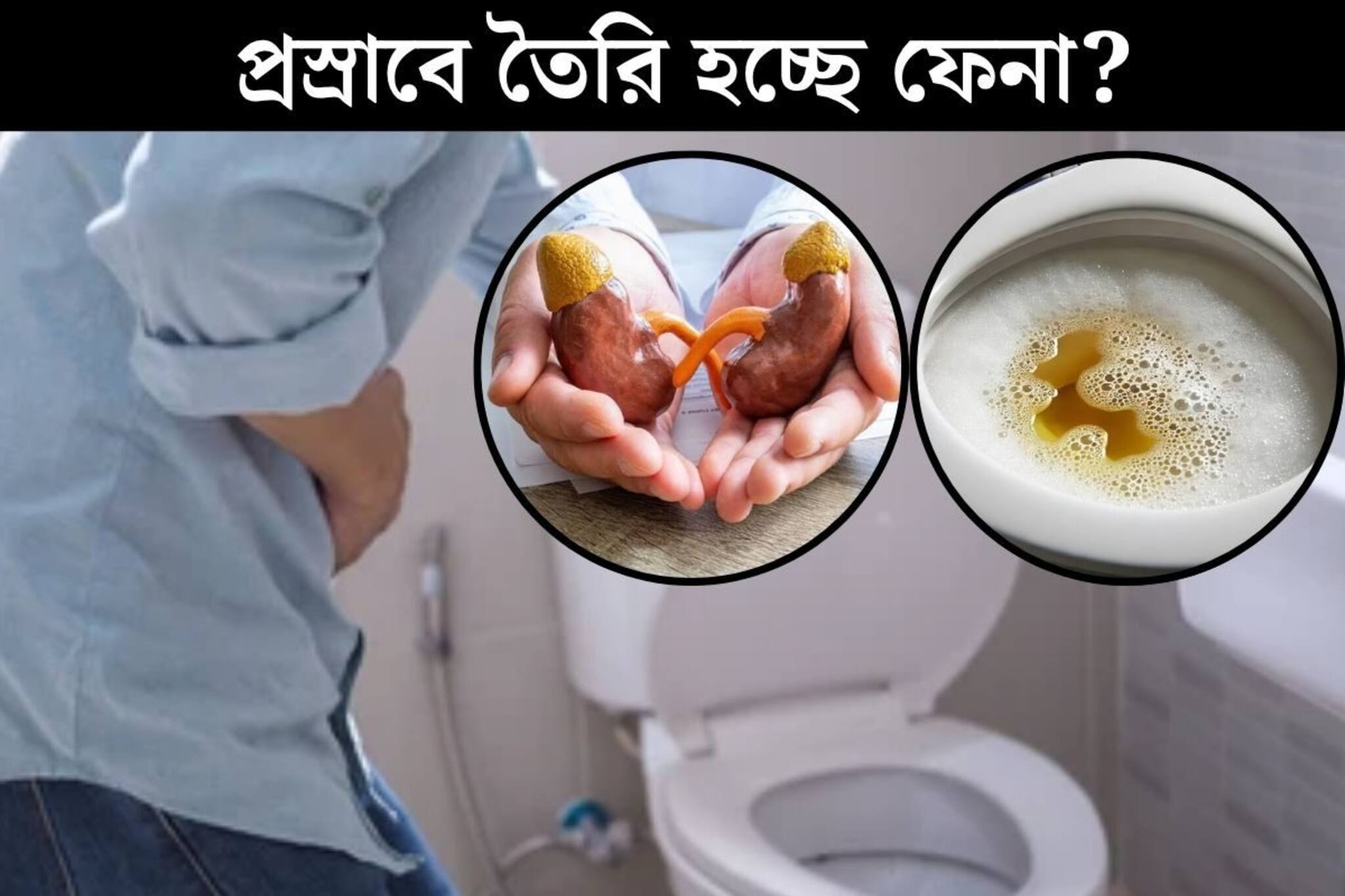প্রস্রাবে কি তৈরি হচ্ছে ফেনা? খুব সাবধান, কী দশা হয়েছে কিডনির? দানা বেঁধেছে মারাত্মক রোগ