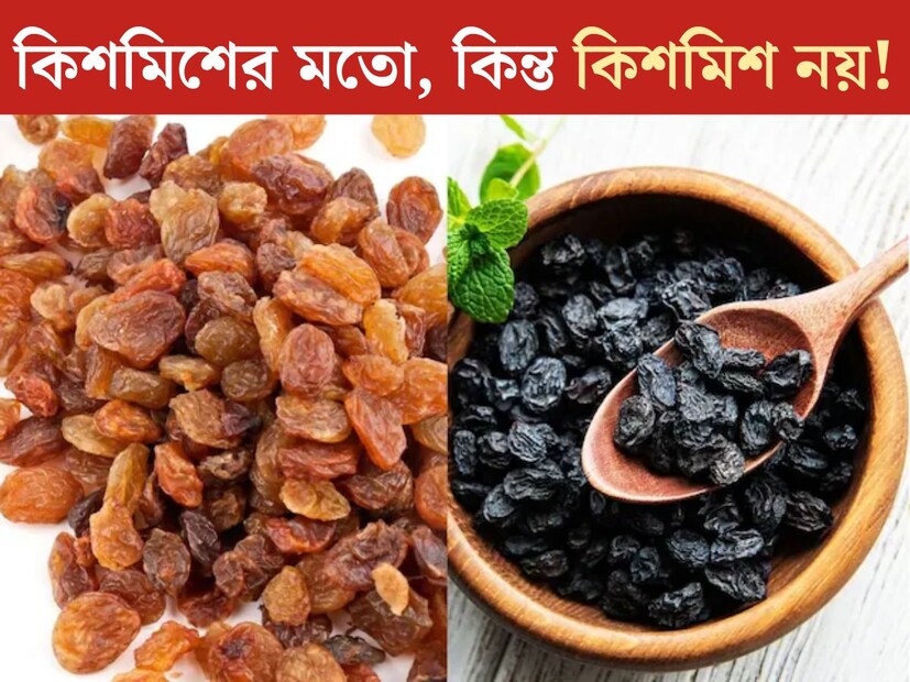 কিশমিশের উপকারীতা প্রচুর। ছোট্ট ছোট্ট এই ‘শুকনো ফলের (ড্রাই ফ্রুটস)’ মধ&#x200d;্যেই রয়েছে ভরপুর পুষ্টিগুণ। প্রচুর জনের অন&#x200d;্যান&#x200d;্য ড্রাই ফ্রুটসের চেয়ে অনেক বেশি পছন্দের। কাজুর মতোই প্রচুর খাবারের স্বাদ বৃদ্ধিতেও ব&#x200d;্যবহার করা হয় কিশমিশ। 