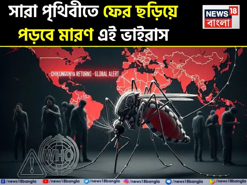 কলকাতা: ২০০৫ সালে, একটি ভাইরাস বিশ্বের অনেক দেশে বিপর্যয় ডেকে আনে এবং মানুষকে তার শিকার করে। এর ফলে অনেক মানুষ প্রাণ হারায়, আবার অনেক মানুষকে দীর্ঘ সময় ধরে সমস্যার সম্মুখীন হতে হয়। এই ভাইরাস ভারত মহাসাগর অঞ্চলের ছোট ছোট দেশ থেকে ছড়িয়ে পড়তে শুরু করে এবং ধীরে ধীরে ভারত সহ অনেক দেশে ছড়িয়ে পড়ে। পরে এর তাণ্ডব কমে যায় এবং মানুষ এর নামও ভুলে যায়। এই বিপজ্জনক ভাইরাসের নাম চিকুনগুনিয়া, যা এখন আবার দ্রুত ছড়িয়ে পড়তে শুরু করেছে। এই বিপদের পরিপ্রেক্ষিতে, বিশ্ব স্বাস্থ্য সংস্থা (WHO) একটি গুরুতর সতর্কতা জারি করেছে। এশিয়া এবং ইউরোপের অনেক দেশে এর ঘটনা ক্রমাগত বৃদ্ধি পাচ্ছে, যা উদ্বেগজনক। Photo- AI