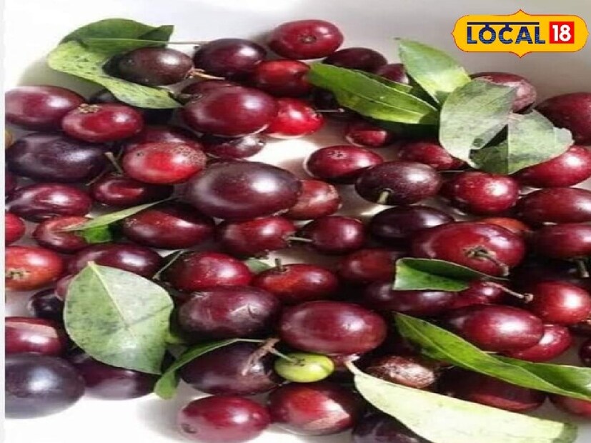 বৈঁচি ফলে রয়েছে আয়রন, ফসফেট, সালফার-সহ নানা খনিজ উপাদান। যা শারীরিক নানা কাজে সহায়তা করে। এছাড়াও রয়েছে ভিটামিন সি।