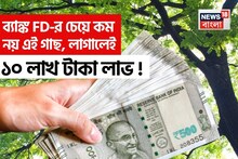 ব্যাঙ্ক FD-র চেয়ে কম নয় এই গাছ, লাগালেই ১০ লাখ টাকা লাভ ? সত্যি ?