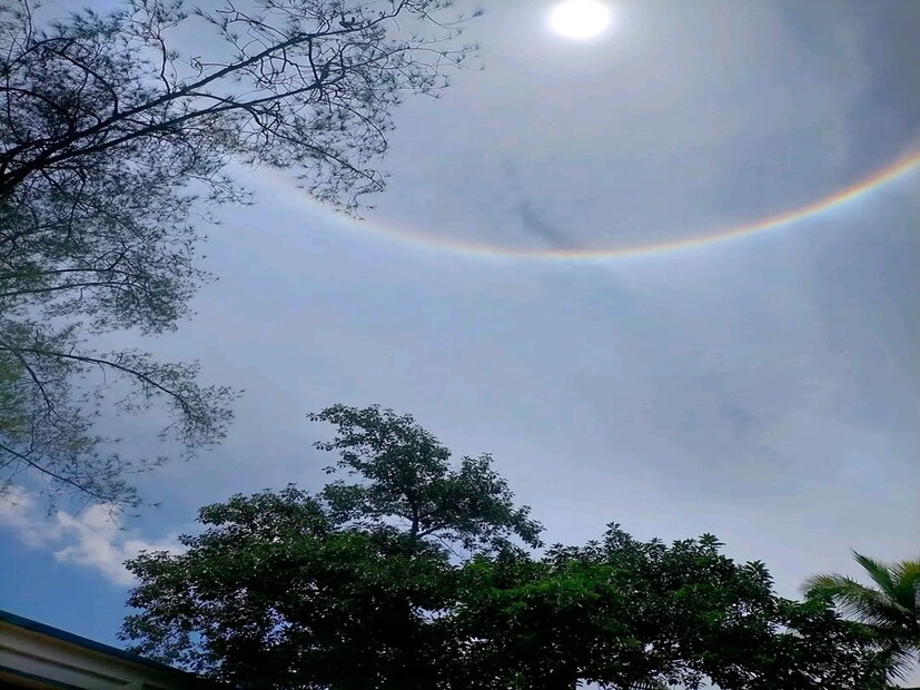 এবার সুন্দরবনের আকাশে দেখা মিলল সূর্যের চারপাশে গোলাকার বলয়ের, ঘটনায় চাঞ্চল্য ছড়িয়েছে। মথুরাপুরের অনেক জায়গা থেকে এই ঘটনা প্রত্যক্ষ করা গিয়েছে।