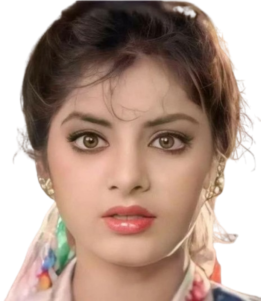 এরপরেই একটি কাহানি প্রকাশ্যে আসে দিব্যা জুহুর একটি ফ্ল্যাটে পাঁচতলার একটি আবাসনে থাকতেন ৷ সেই বিল্ডিং-এর পাশে একটি আইসক্রিমের দোকানে যাচ্ছিলেন তখনই কোথাও থেকে নিজের নাম শোনেন ৷ ফাইল ছবি ৷