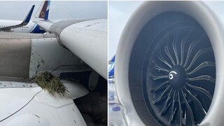 আবার এয়ার ইন্ডিয়ার বিমানে বিপত্তি ! 