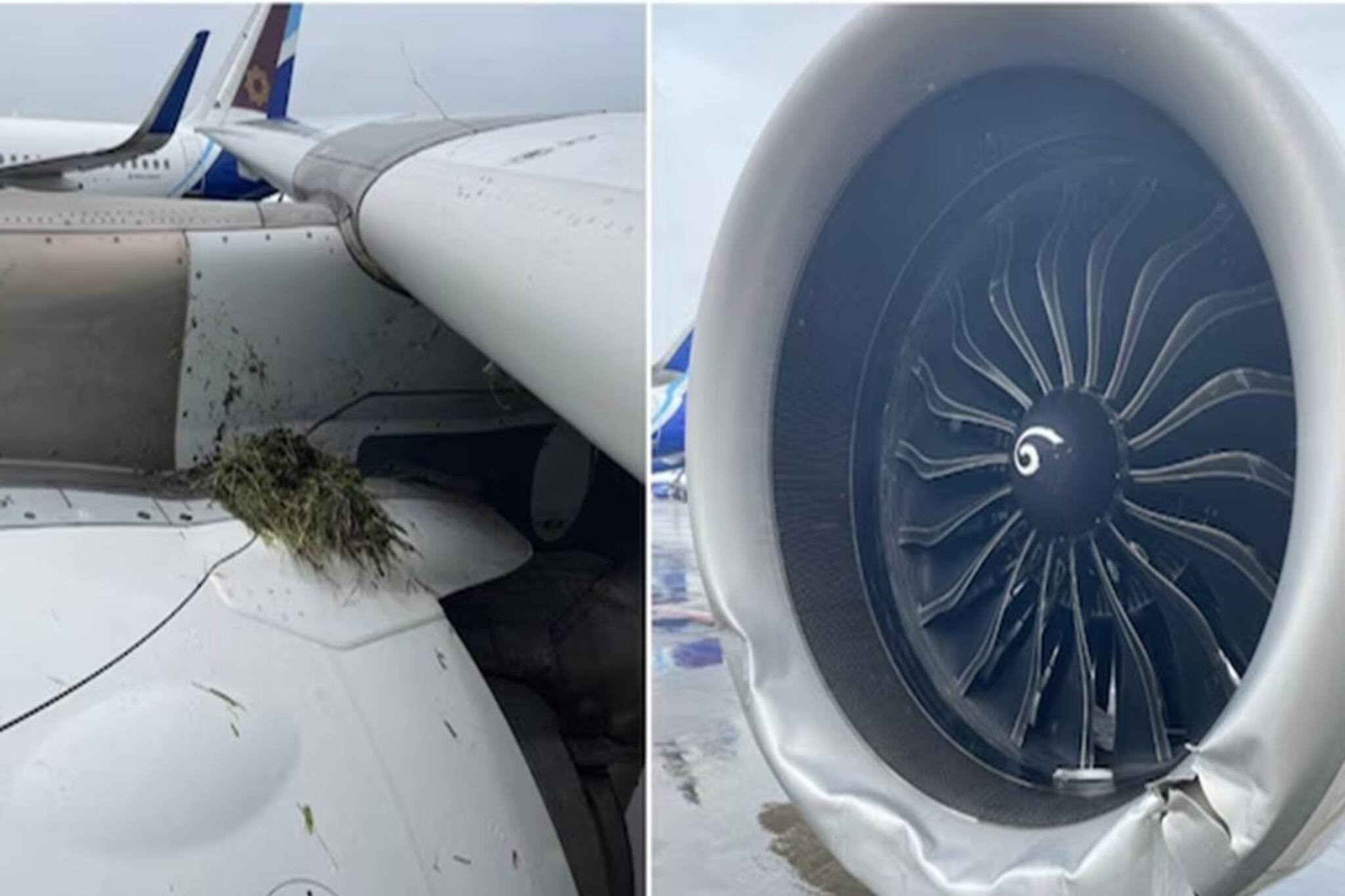 ল্যান্ডিংয়ের সময় বিপত্তি! মুম্বইয়ে নামার সময় রানওয়েতে পিছলে গেল এয়ার ইন্ডিয়ার বিমান