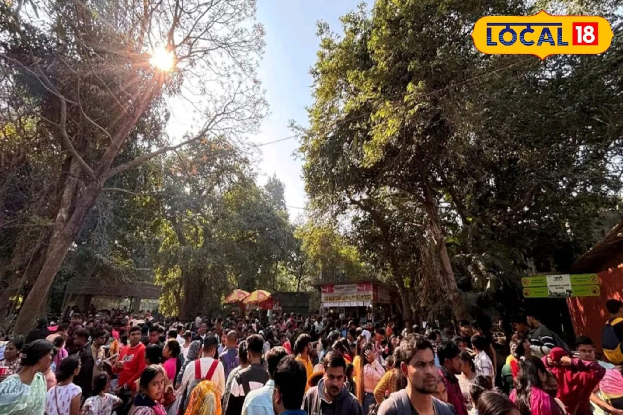 এবার চিড়িয়াখানায় দর্শকদের কাঁধের ভার ভ্যানিশ! আলিপুর জু-তে হল 'ক্লোকরুম'