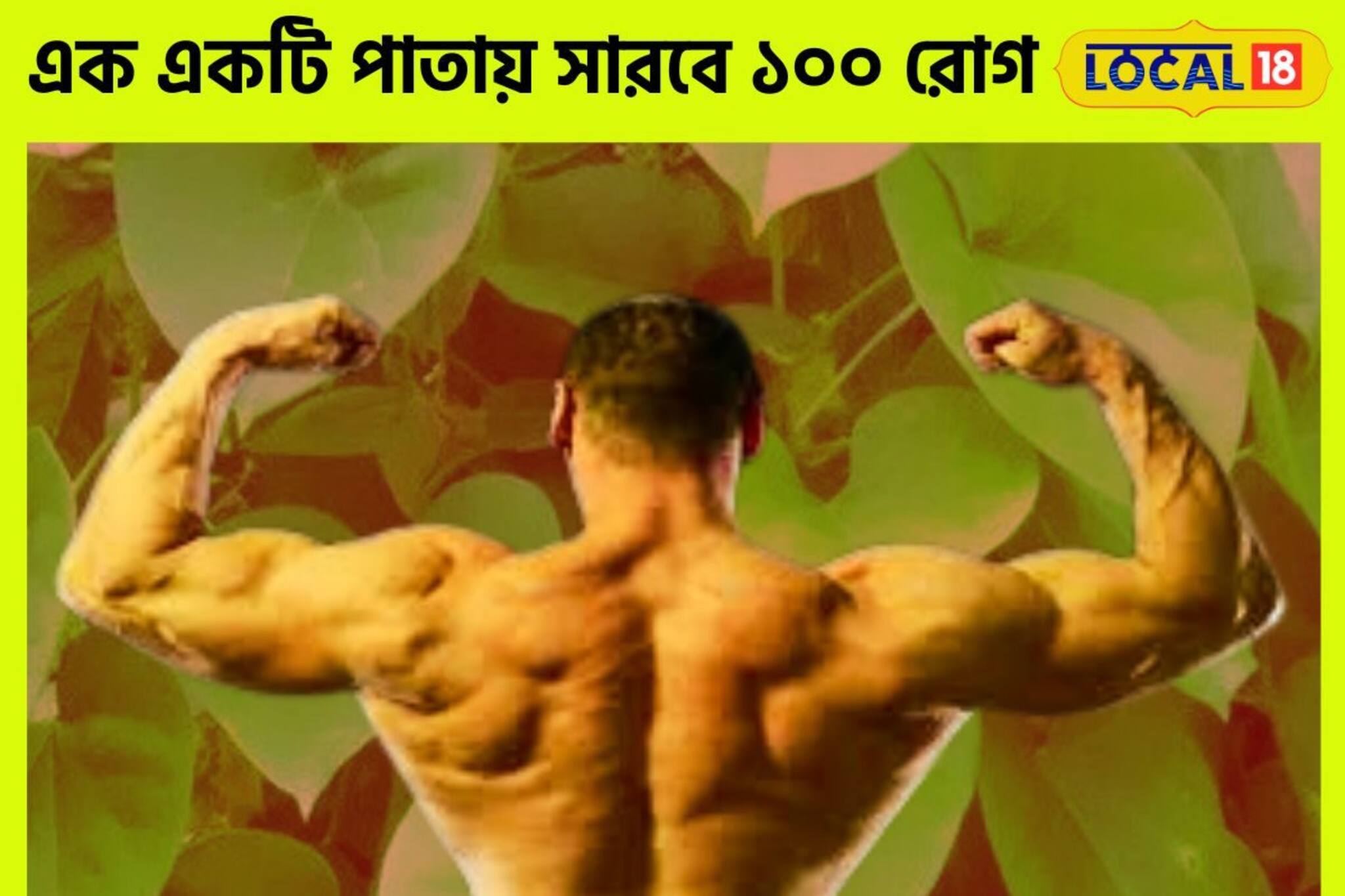 এক একটি পাতা অমৃত সমান! ১০০ রোগের যম, খালি পেটে খেলেই মাইল দূর দিয়ে যাবে রোগ জীবাণু