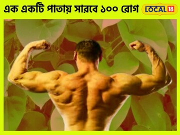 এক একটি পাতা অমৃত সমান! ১০০ রোগের যম, খালি পেটে খেলেই মাইল দূর দিয়ে যাবে রোগ জীবাণু