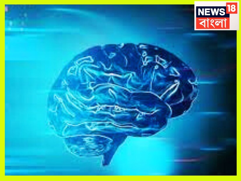 হঠাৎ কোনও কারণেই মাথা যন্ত্রণা হলে যেন বারেবারে মনে হয়ে থাকে সংজ্ঞা বা জ্ঞান হারিয়ে যেতে পারে, ব্রেন স্ট্রোকের ইঙ্গিত হতে পারে ৷ তবে এর সঙ্গে অন্য লক্ষণও দেখা দিতে পারে ৷ প্রতীকী ছবি ৷