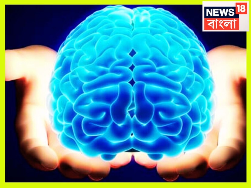 অনেক সময়েই লক্ষ্য করা যায় স্ট্রোক হওয়ার আগে হাত, পা-এ হঠাৎ করেই দুর্বলতা হতে পারে ৷ হাঁটাচলা করার সময়ে দুর্বলতা লক্ষ্য করা যায় এড়িয়ে গেলেই সমস্যা ৷ প্রতীকী ছবি ৷