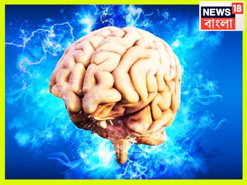 ব্রেন স্ট্রোক একই মুহূর্তে সম্পূর্ণ ভাবে জীবন বদলে দিতে পারে ৷ তবে একটি আশার কথা হল ব্রেন স্ট্রোক হওয়ার আগেই সঙ্কেত দিতে থাকে ৷ প্রতীকী ছবি ৷
