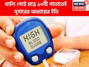 বর্ষায় ১০ পাতার বড় খেলা! সুগার থাকবে পায়ের নীচে, ২৫০ mg/DL থাকলেও ঘরোয়া টোটকায় রেহাই
