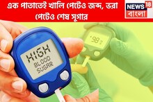 এক পাতাতেই খালি পেটেও জব্দ, ভরা পেটেও শেষ সুগার, Type 1, Type 2 ভ্যানিশ!