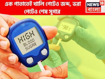 এক পাতাতেই খালি পেটেও জব্দ, ভরা পেটেও শেষ সুগার, Type 1, Type 2 ভ্যানিশ!