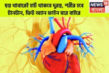 ৬টি খাবারই যথেষ্ট কোলেস্টরেল লাগামে হার্ট থাকবে সুপার ডুপার, সারাদিন মন মেজাজ ফুরফুরে