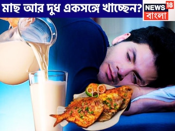 প্রতিদিন কি একই ভুল করছেন? মাছ আর দুধ একসঙ্গে খাচ্ছেন? শরীরে বিরাট খেলা শুরু হচ্ছে প্রতিদিন কি একই ভুল করছেন? মাছ আর দুধ একসঙ্গে খাচ্ছেন? শরীরে বিরাট খেলা শুরু হচ্ছে