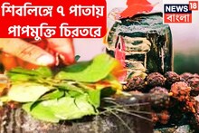 শ্রাবণে শিবের প্রিয় সাত পাতা! এক একটি পাতায় কোটি গুণ শক্তি, দেবাদি দেব মহাদেবের কৃপা