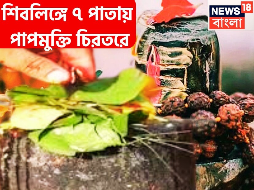 শিবের পছন্দের সাতটি পাতা শ্রাবণে যদি শিবকে অর্পণ করা হয়ে থাকে, সেক্ষেত্রে বিশেষ উন্নতিকর পরিস্থিতি আসতে চলেছে জীবনে ৷ প্রতীকী ছবি ৷