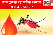 মশার চিরশত্রু! কোন গ্রুপের রক্ত শরীরে থাকলে মশা কামড়ায় না? ধারে কাছে ঘেঁষতে পারেনা