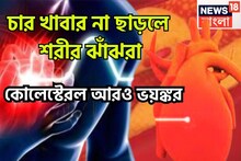 চার খাবার না ছাড়লে শরীর ঝাঁঝরা! কোলেস্টেরল আরও ভয়ঙ্কর হযে ফুঁসবে
