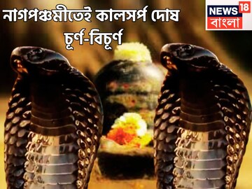 শ্রাবণেই বিরাট মুহূর্ত! নাগপঞ্চমীতে বিশাল মুহূর্ত, শিবলিঙ্গে চার সামগ্রীতে কালসর্প দোষ শেষ