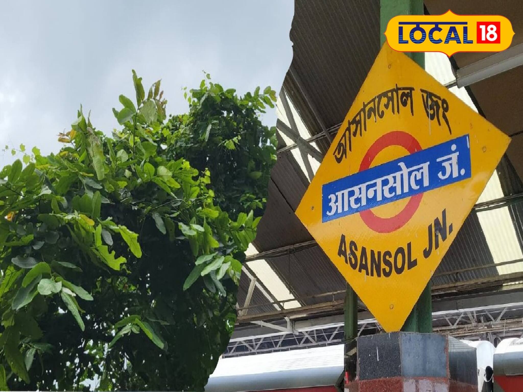 একটি গাছেই লুকিয়ে রয়েছে 'আসানসোল' নামের রহস্য...! জানেন না অনেকেই কি সেই গাছ