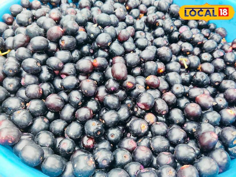 গ্রীষ্মকালে যে এই ফল পাওয়া যায় না এমন নয়। তবে মরশুমের প্রথম বা দ্বিতীয় বৃষ্টিপাতের পর বাজারে এমন একটি ফল আসতে শুরু করে যার চাহিদাও খুব বেশি থাকে, তবে এটি মাত্র কয়েক দিনের জন্য খাওয়া যায়। বলা হচ্ছে কালোজামের কথা। ফ্যাটি লিভার, সুগার এবং গ্যাসের সমস্যায় এই ফলটি খুবই উপকারী। 