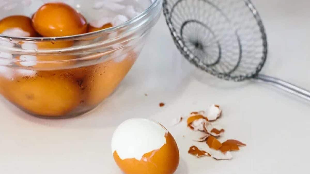 How To Boil Perfect Egg: ধবধবে সাদা, কোনও গর্ত থাকবে না, ডিম সিদ্ধ হবে ...