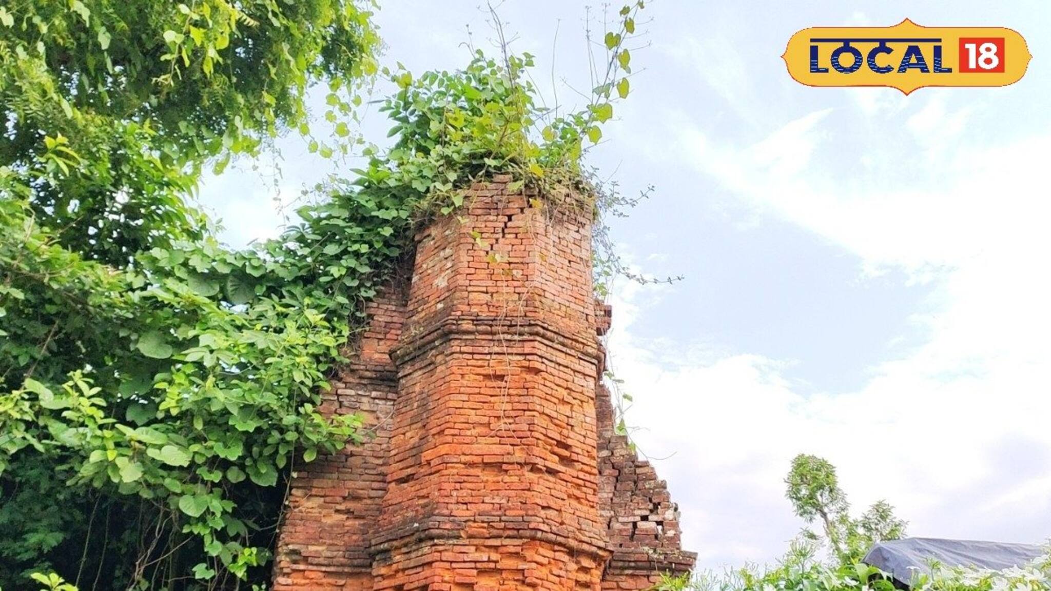 নবাবি আমলে এখানেই ছিল গৌড় নগরী, মালদহে গাছপালার আড়ালে একা দাঁড়িয়ে প্রাচীন ইতিহাস